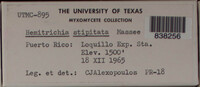 Image Associated With the Occurence